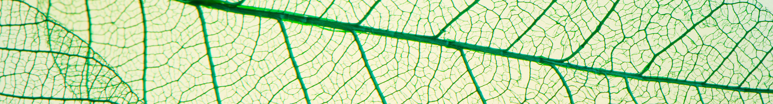 Magazines en jaarverslagen